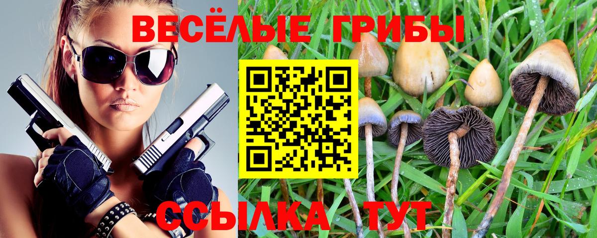 Черкесск  Галлюциногенные грибы Psilocybe  Галлюциногенные грибы Psilocybe  Вход с VPN 
