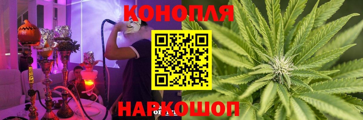 Бошки Шишки сатива Черкесск